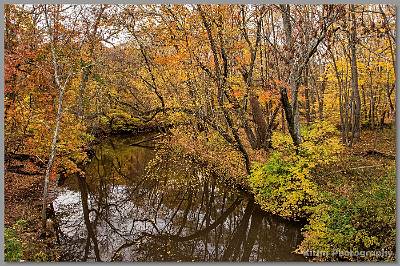 image by Kirms Photography Manasquan River At Hospital Road - Wall